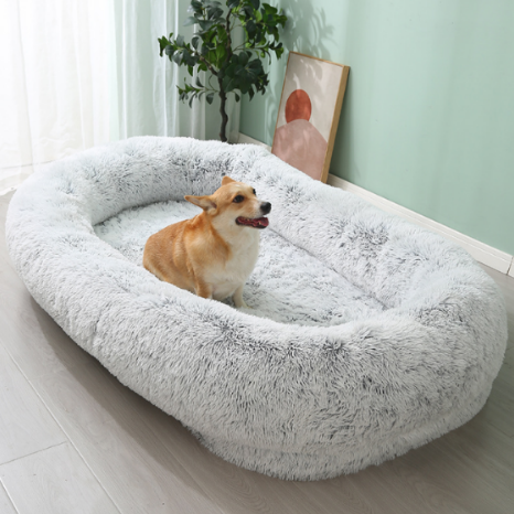 product-466-466